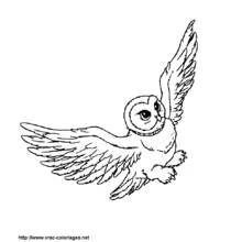 Harry Potter (Movies and TV Shows) coloring page #69812 to print and color