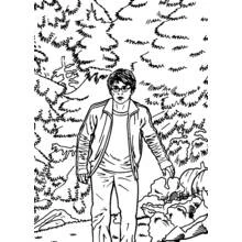 Harry Potter (Movies and TV Shows) coloring page #69866 to print and color
