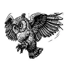 Harry Potter (Movies and TV Shows) coloring page #69889 to print and color