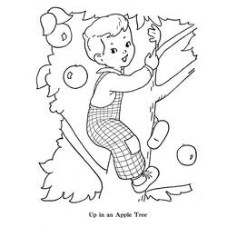 Apple tree (Nature and Seasons) coloring page #163795 to print and color