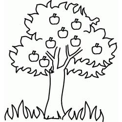 Apple tree (Nature and Seasons) coloring page #174059 to print and color