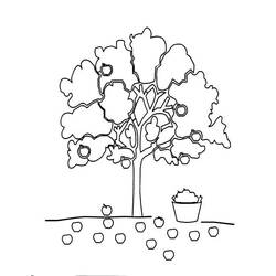 Apple tree (Nature and Seasons) coloring page #174070 to print and color