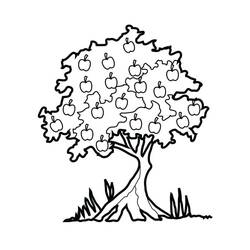 Apple tree (Nature and Seasons) coloring page #174074 to print and color