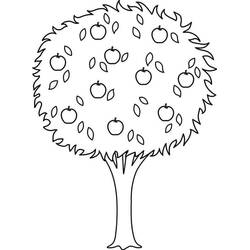 Apple tree (Nature and Seasons) coloring page #174079 to print and color