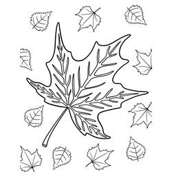 Autumn Season (Nature and Seasons) coloring page #218742 to print and color