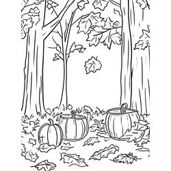 Autumn Season (Nature and Seasons) coloring page #218745 to print and color