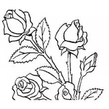 Coloring page: Bouquet of flowers (Nature and Seasons) #160747 - Free Printable Coloring Pages