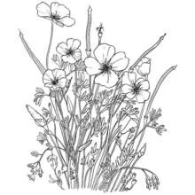 Coloring page: Bouquet of flowers (Nature and Seasons) #160808 - Free Printable Coloring Pages