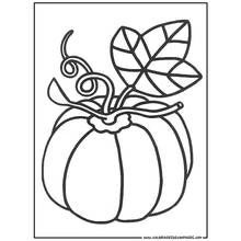 Bouquet of flowers (Nature and Seasons) coloring page #160835 to print and color