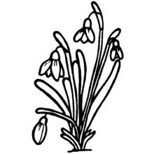 Bouquet of flowers (Nature and Seasons) coloring page #160845 to print and color