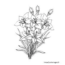 Bouquet of flowers (Nature and Seasons) coloring page #160865 to print and color