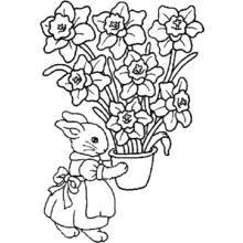 Bouquet of flowers (Nature and Seasons) coloring page #160873 to print and color