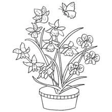 Bouquet of flowers (Nature and Seasons) coloring page #161091 to print and color