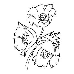 Bouquet of flowers (Nature and Seasons) coloring page #195650 to print and color