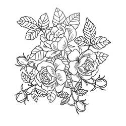 Bouquet of flowers (Nature and Seasons) coloring page #195660 to print and color