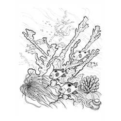 Coloring page: Coral (Nature and Seasons) #162970 - Free Printable Coloring Pages