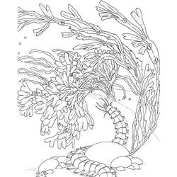 Coloring page: Coral (Nature and Seasons) #162973 - Free Printable Coloring Pages