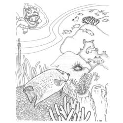 Coloring page: Coral (Nature and Seasons) #162980 - Free Printable Coloring Pages