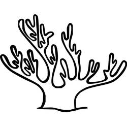 Coloring page: Coral (Nature and Seasons) #210295 - Free Printable Coloring Pages