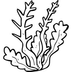 Coloring page: Coral (Nature and Seasons) #210300 - Free Printable Coloring Pages