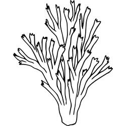 Coloring page: Coral (Nature and Seasons) #210308 - Free Printable Coloring Pages