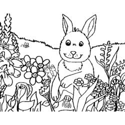 Countryside (Nature and Seasons) coloring page #165473 to print and color