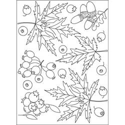 Fall season (Nature and Seasons) coloring page #164165 to print and color