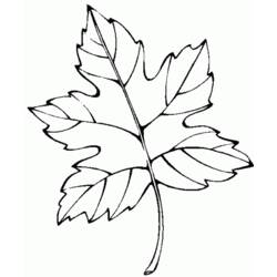 Fall season (Nature and Seasons) coloring page #164180 to print and color