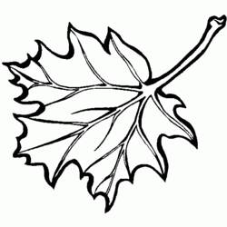 Fall season (Nature and Seasons) coloring page #164198 to print and color