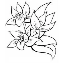 Flowers (Nature and Seasons) coloring page #154979 to print and color