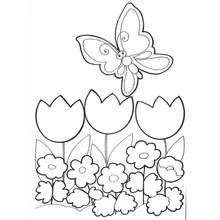 Flowers (Nature and Seasons) coloring page #154980 to print and color