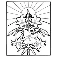 Flowers (Nature and Seasons) coloring page #154998 to print and color