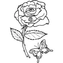 Flowers (Nature and Seasons) coloring page #155018 to print and color