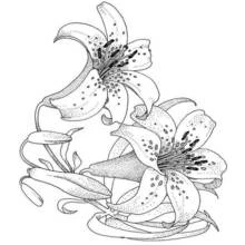 Flowers (Nature and Seasons) coloring page #155026 to print and color