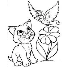 Flowers (Nature and Seasons) coloring page #155028 to print and color