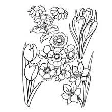 Flowers (Nature and Seasons) coloring page #155035 to print and color