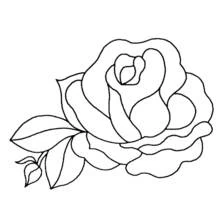 Flowers (Nature and Seasons) coloring page #155039 to print and color