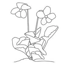 Flowers (Nature and Seasons) coloring page #155045 to print and color