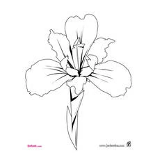 Flowers (Nature and Seasons) coloring page #155064 to print and color