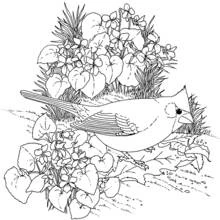 Flowers (Nature and Seasons) coloring page #155090 to print and color