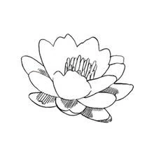 Flowers (Nature and Seasons) coloring page #155093 to print and color