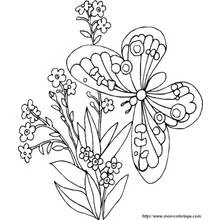 Flowers (Nature and Seasons) coloring page #155125 to print and color