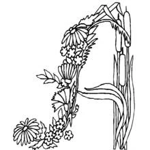 Flowers (Nature and Seasons) coloring page #155127 to print and color