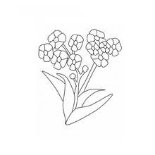 Flowers (Nature and Seasons) coloring page #155128 to print and color