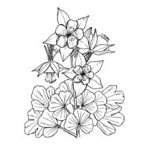 Flowers (Nature and Seasons) coloring page #155144 to print and color