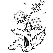 Flowers (Nature and Seasons) coloring page #155158 to print and color