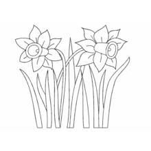 Flowers (Nature and Seasons) coloring page #155167 to print and color