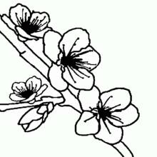 Flowers (Nature and Seasons) coloring page #155191 to print and color