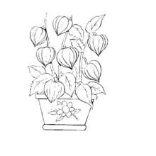 Flowers (Nature and Seasons) coloring page #155208 to print and color