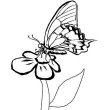 Flowers (Nature and Seasons) coloring page #155241 to print and color